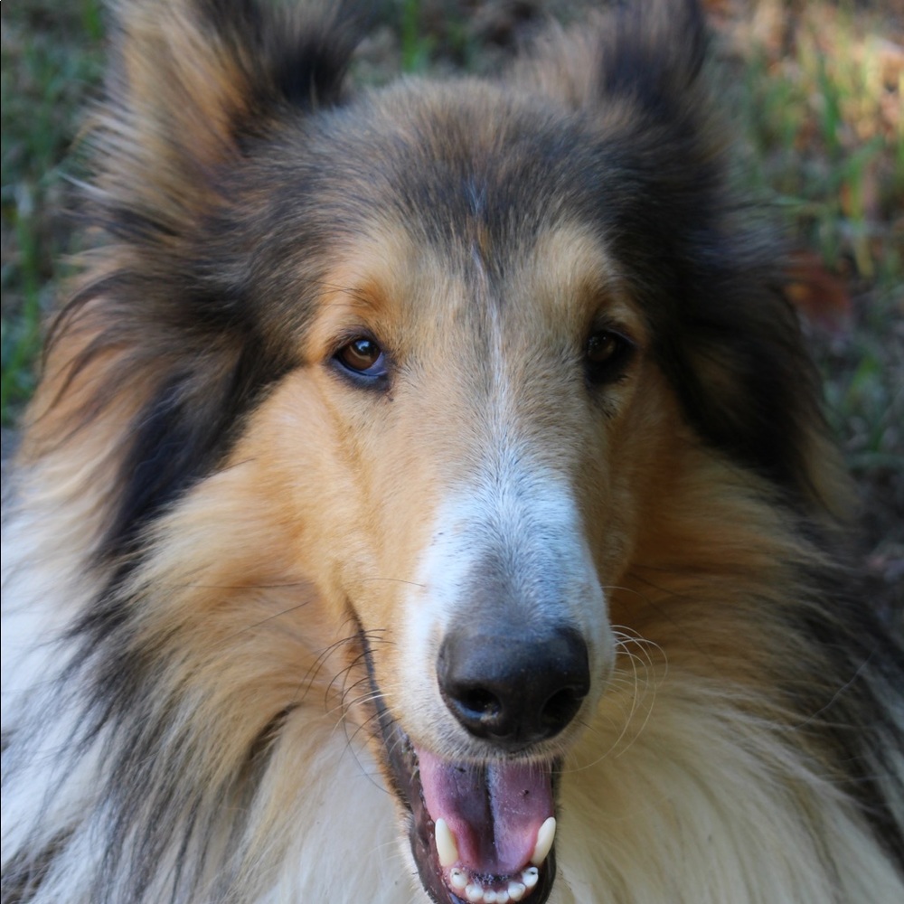 Meet your Posher, Madeline